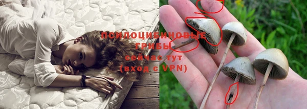 винт Абаза